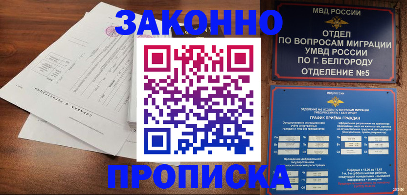 прописка в Вышнем Волочке